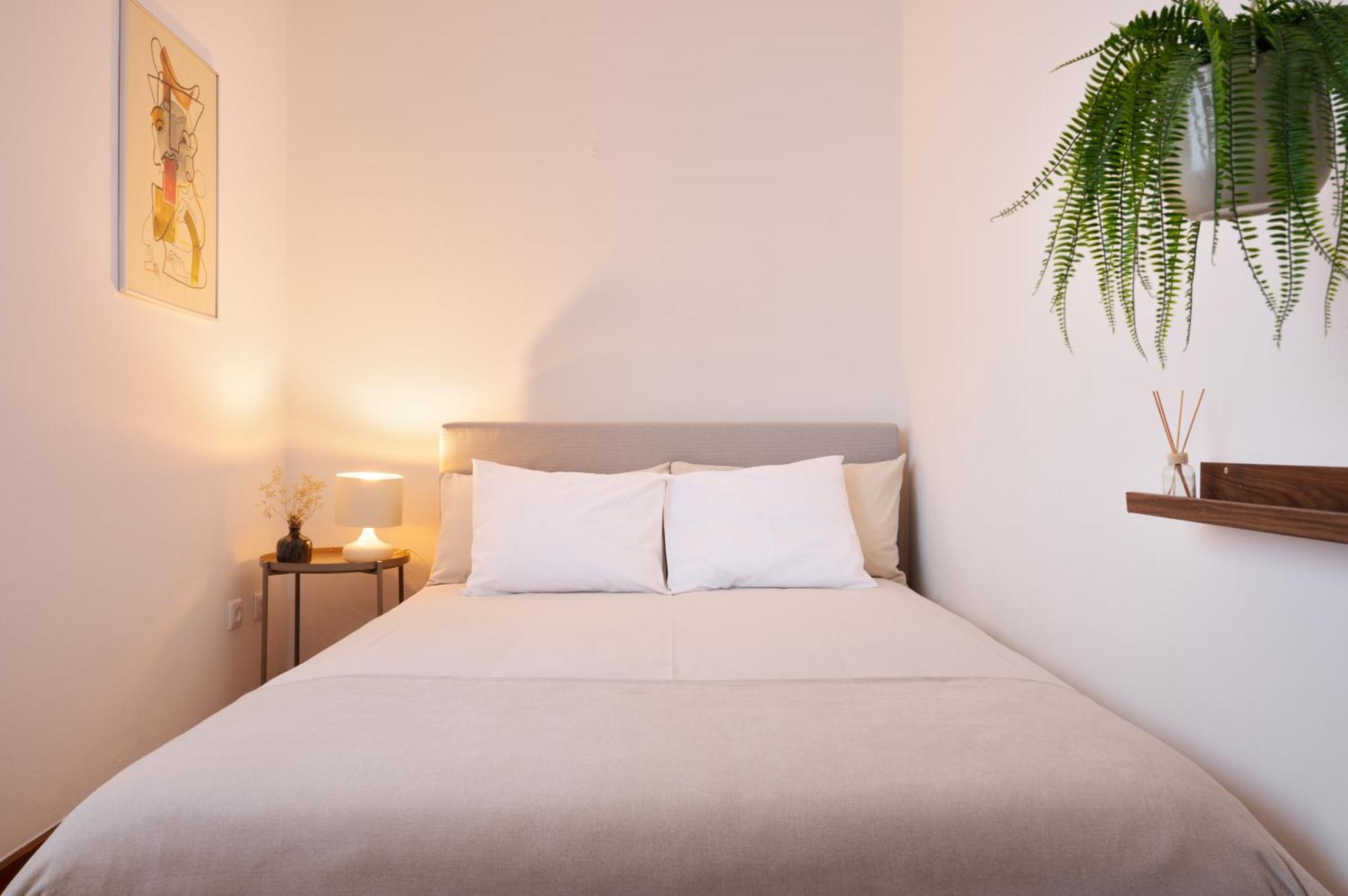 ! Bright 2Br Hammock Flat ! Praca Da Republica Leilighet Porto Eksteriør bilde